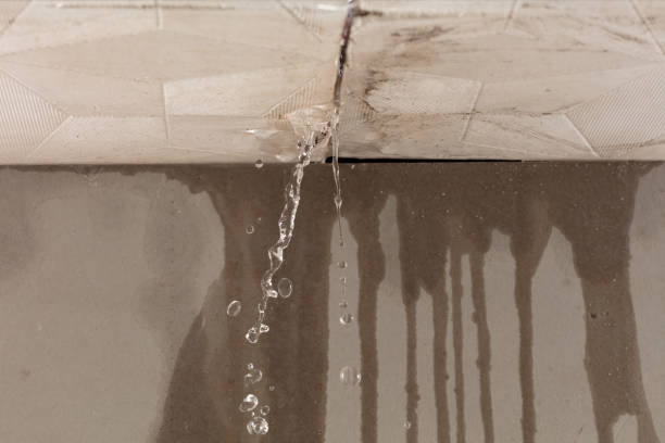 Professional Water Damage Inspection technician working in Haskell, TX
